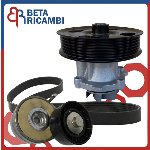 Kit cinghia tendicinghia - cinghia,
