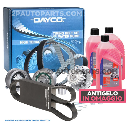 Kit distribuzione pompa acqua - distribuzione,