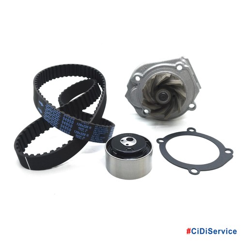 Kit cinghia distribuzione - distribuzione, +