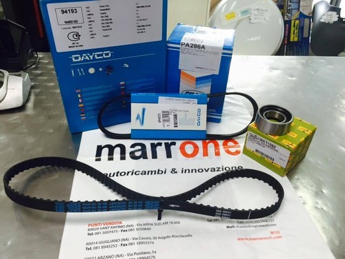 Kit cinghia distribuzione - cinghia,