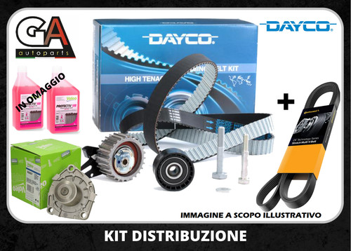 Kit distribuzione alfa - distribuzione,