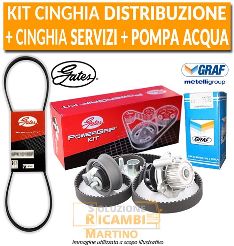 Kit cinghia distribuzione - cinghia,