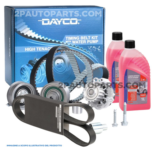 Kit distribuzione pompa acqua - kit,