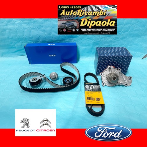 Kit distribuzione skf pompa - distribuzione,