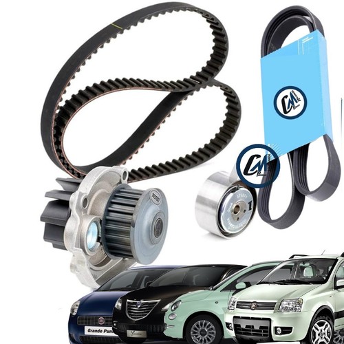Kit distribuzione pompa acqua - distribuzione,