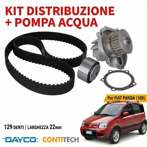 Kit cinghia distribuzione - cinghia, +